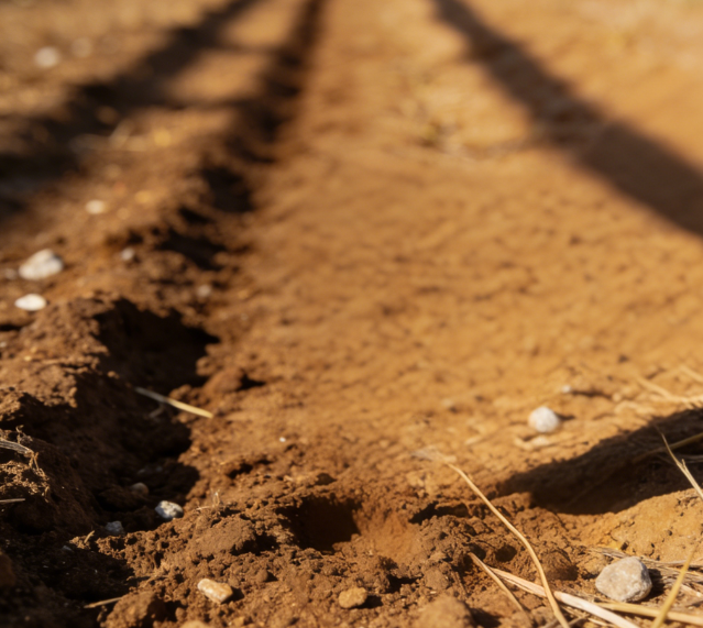 一體式土壤硬度計(jì)：快速檢測(cè)土壤緊實(shí)度的便攜利器